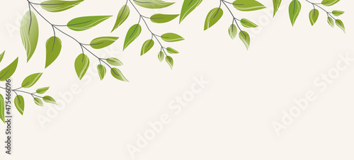 Floral web banner with drawn green exotic leaves. Nature concept design. Modern floral compositions with summer branches. Vector illustration on the theme of ecology, natura, environment