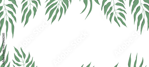 Floral web banner with drawn color exotic leaves. Nature concept design. Modern floral compositions with summer branches. Vector illustration on the theme of ecology, natura, environment