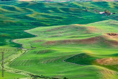 Steptoe Butte State Park, Washington State, USA. Rolling wheat fields in the Palouse hills. (Editorial Use Only)