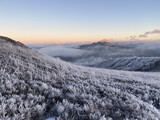 Beautiful winter view of the field in Poland, Bieszczady