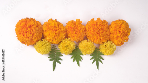 Yellow flowers of Marigold isolated on white background.