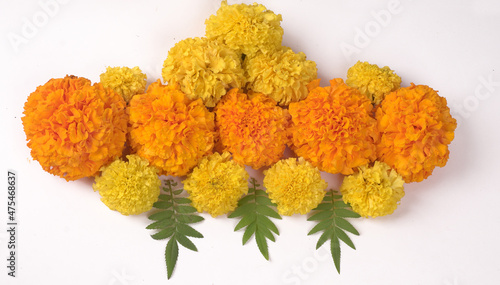 Yellow flowers of Marigold isolated on white background.