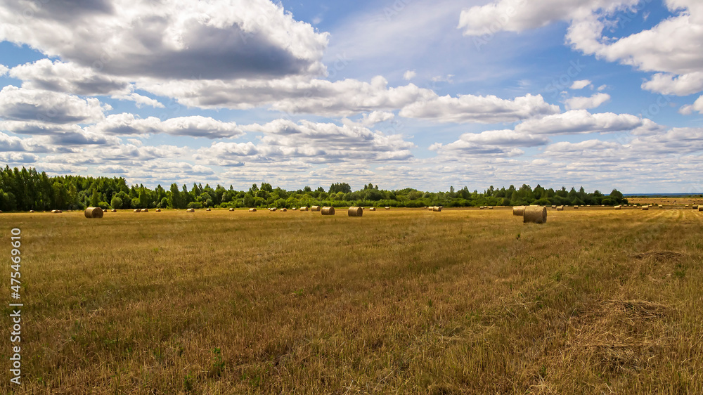 a field with straw bales