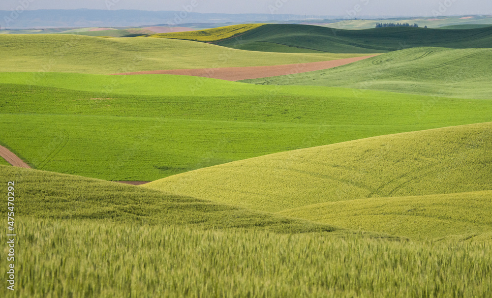 Layers of different colors in the Palouse region of Washington State.