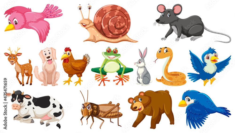 Obraz premium Set of isolated different animals