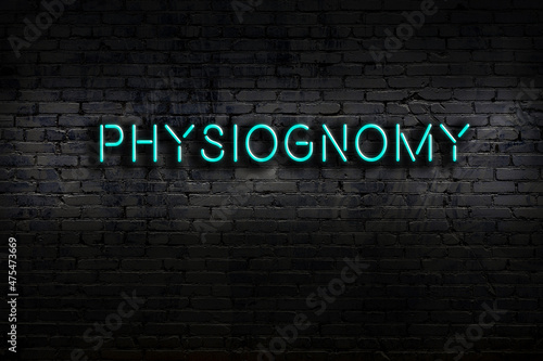 Night view of neon sign on brick wall with inscription physiognomy photo