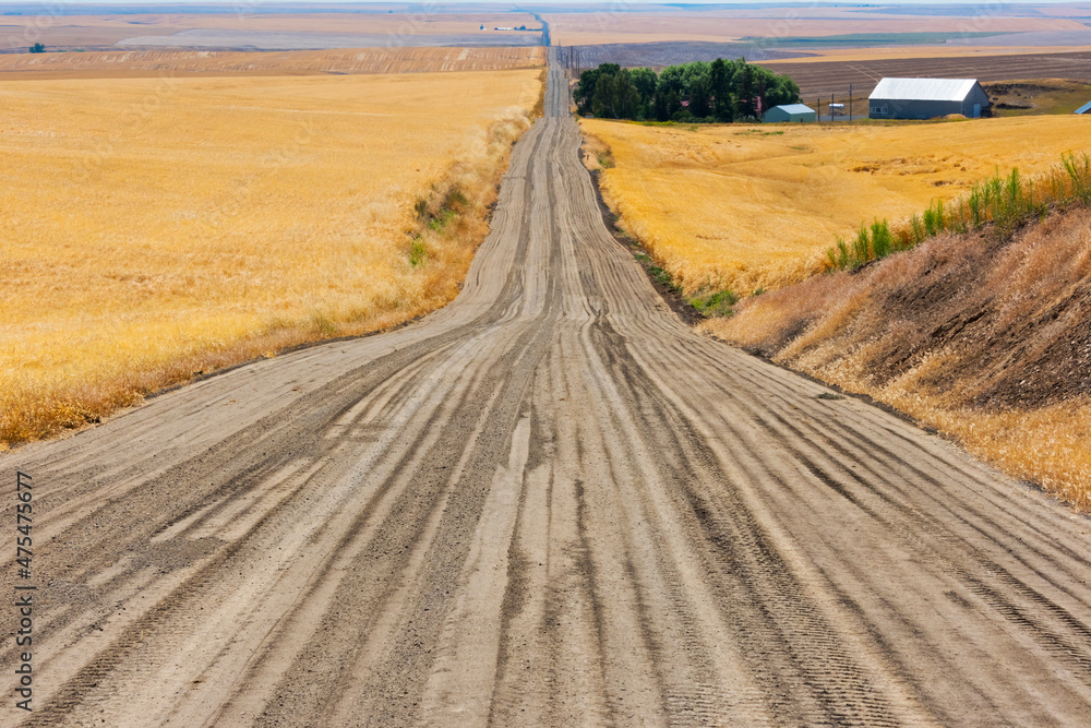 Tracks on a gravel road in eastern Washington State, USA