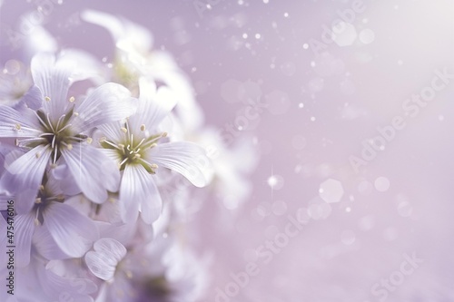 Defocused abstract floral background in violet color. Verry peri color of the year. Blurred background with copy space.