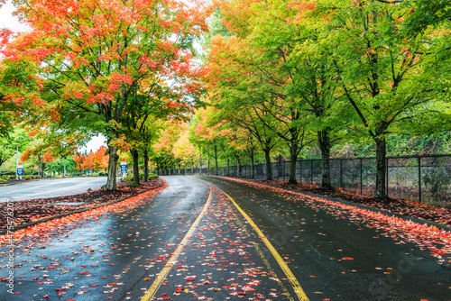 Washington State, Renton. Autumn Color at Gene Coulon Park