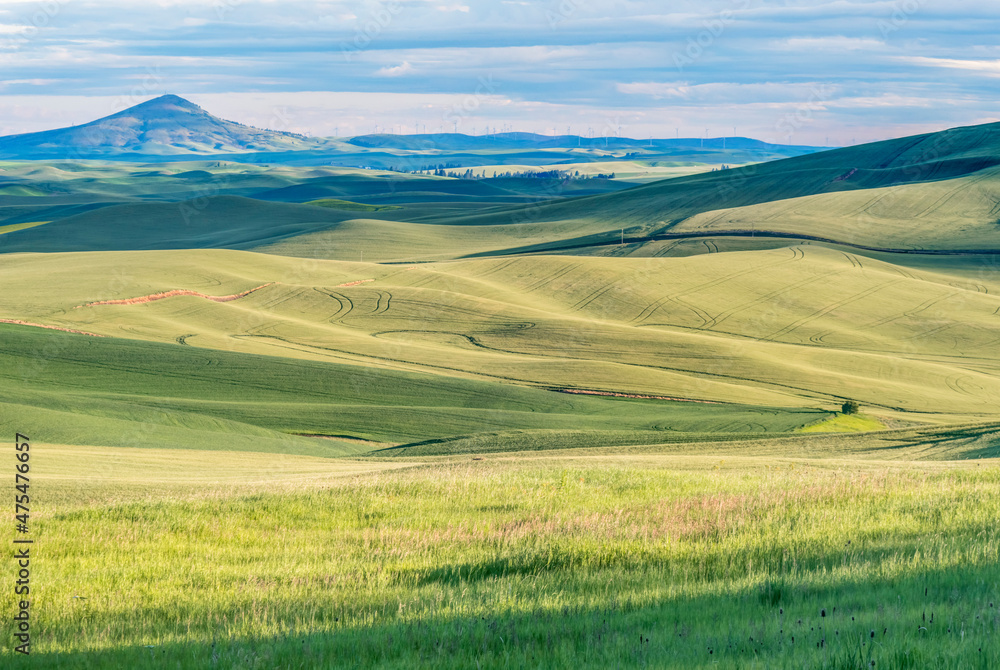 Washington State, Whitman County. Palouse farm fields and Steptoe Butte