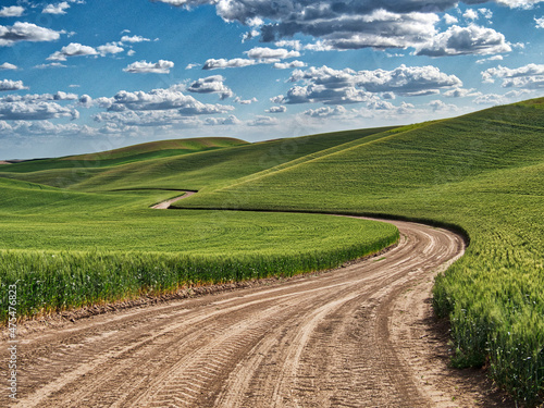 Fényképezés USA, Washington State, Palouse, Country Backroad through Spring wheat fields
