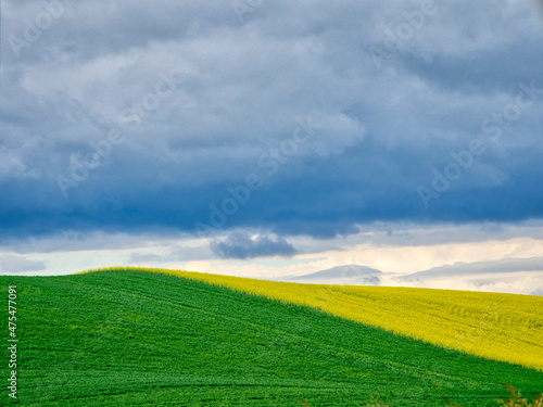 USA, Washington State, Palouse, Rolling hills of canola and wheat