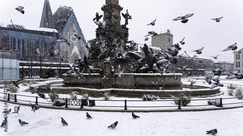 Slika na platnu Beautiful shot of flying bords in a snowy park