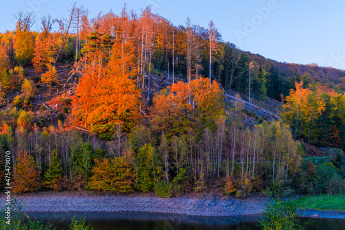 autumn sunset in the mountains with lake