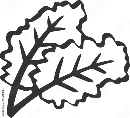 kale icon