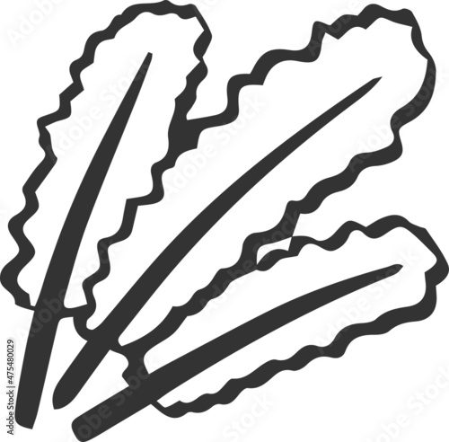 kale icon