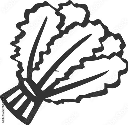 kale icon