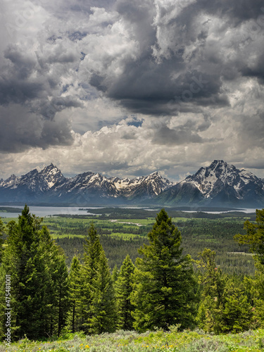 Evergreens  dramatic clouds and a grand view of Teton Mountains  Grand Teton National Park  Wyoming