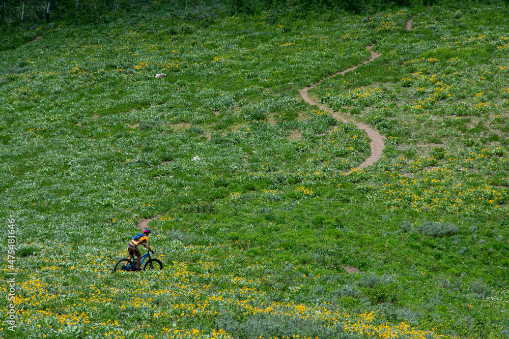 USA, Wyoming. Man mountain biking on singletrack trail