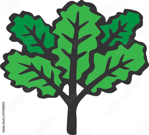 kale icon