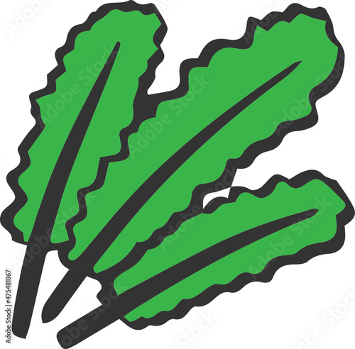 kale icon
