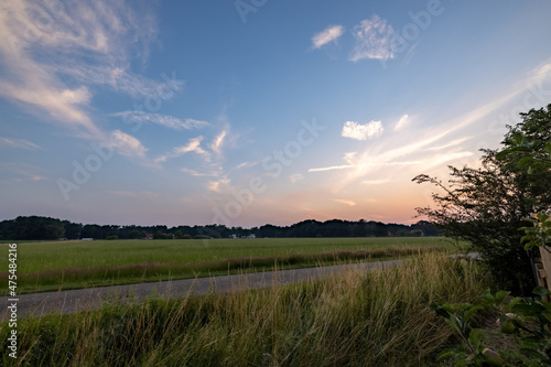summer landscape  field with green grass and horizon  textured sunset sky  sun. High quality photo