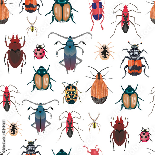 Seamless pattern of various insects on a white background. Vector illustration of multicolored beetles.