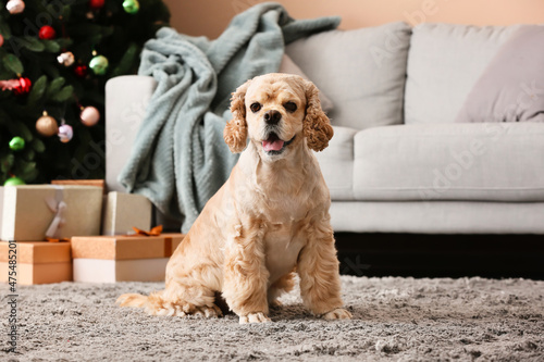 Adorable dog at home on Christmas eve