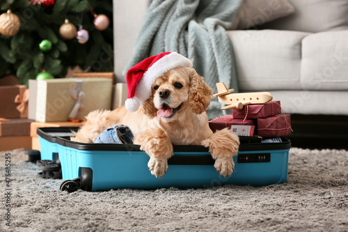 Adorable dog with gifts, pa...