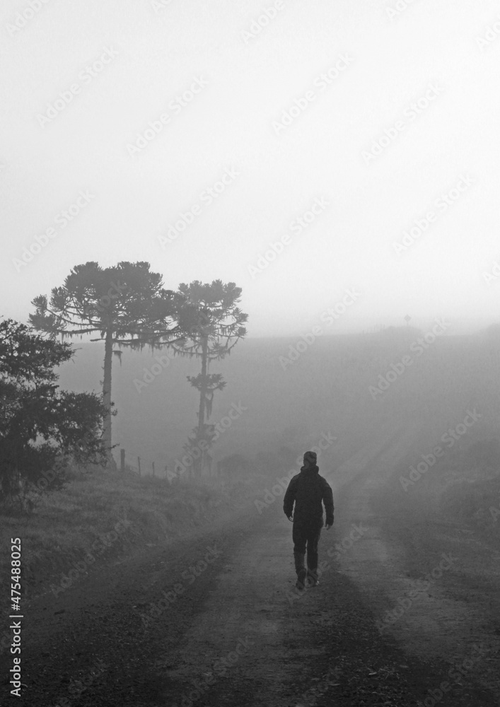 homem caminhando em dia de neblina com silhueta de árvores