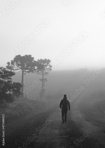 homem caminhando em dia de neblina com silhueta de árvores © carina furlanetto