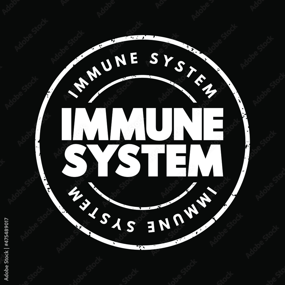 Immune System text stamp, health concept background
