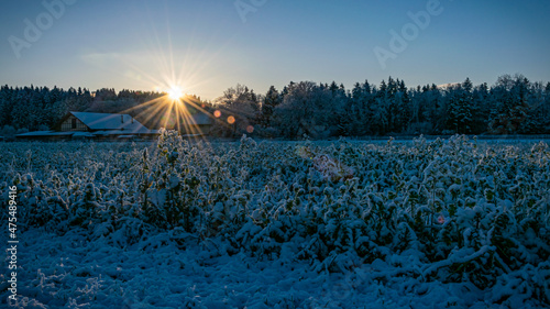 Sunrise on a Wintermorning photo