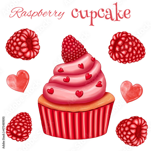 Colorful raspberry valentines day cupcake, respberries and hearts, sweet love sketch, tasty holiday, homemade, bakery logo design elements photo