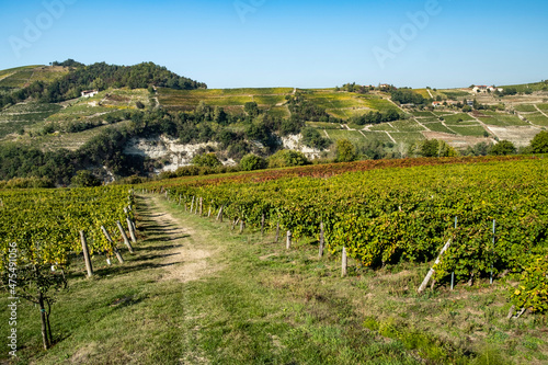The hills full of vineyards of Santo Stefano Belbo, the area of Muscat wine in Piedmont, immediately after the harvest in autumn photo