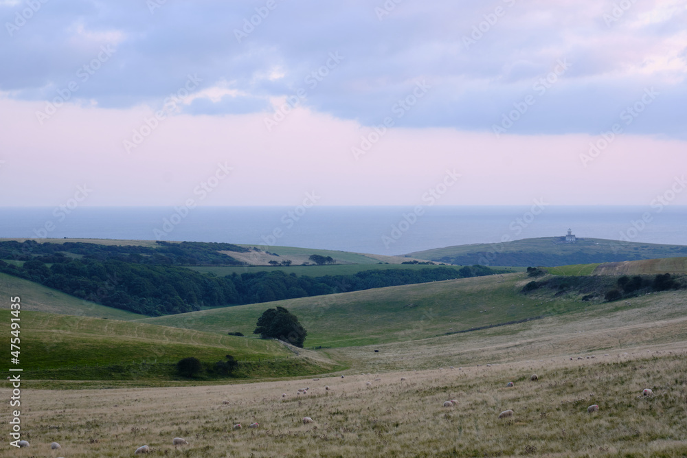 Farmland on South Downs, East Sussex with Belle Tout Lighthouse and the English Channel in the distance.