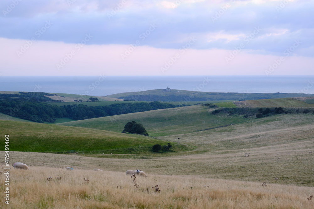 Obraz premium Farmland on South Downs, East Sussex with Belle Tout Lighthouse and the English Channel in the distance.