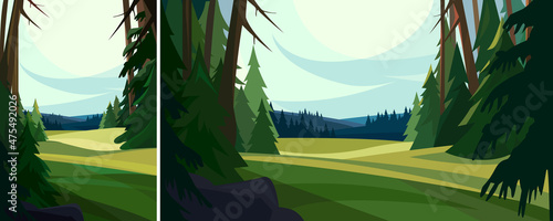 Beautiful coniferous forest. Nature landscape in different formats.