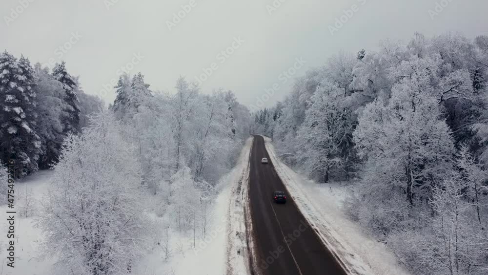 winter forest, in the middle there is a road along which a car is passing, light haze, white trees winter forest, in the middle there is a road along which a car is passing, light haze, white trees