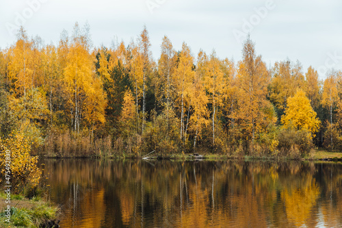 beautiful landscape of the lake in the autumn yellow forest