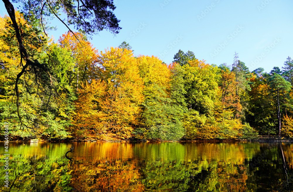 Autumn landscape with brightly colored leaves and reflections in the water. Small lake in nature. Autumn landscape with brightly colored leaves and reflections in the water. Small lake in nature.