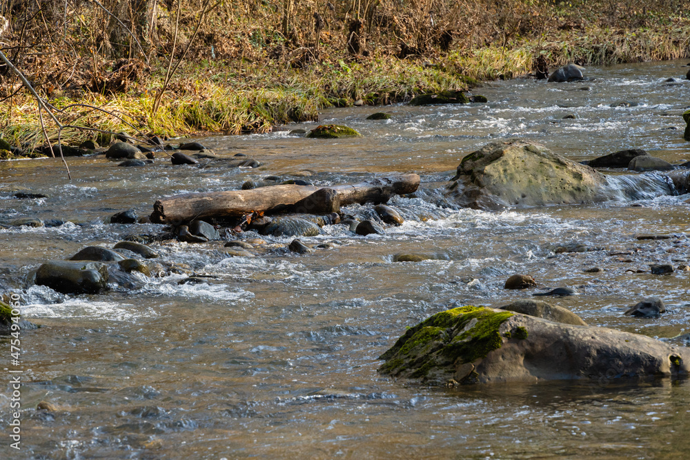 Mountain river among stones and trees. Close-up of boulders in water. Huge stones in green moss. Bbeautiful landscape of fast river with small whirlpools and waterfalls around stones. Mountain river among stones and trees. Close-up of boulders in water. Huge stones in green moss. Bbeautiful landscape of fast river with small whirlpools and waterfalls around stones.