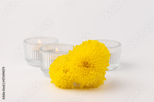 Burning candles with fresh flowers on light background