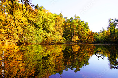 Autumn landscape with brightly colored leaves and reflections in the water. Small lake in nature.