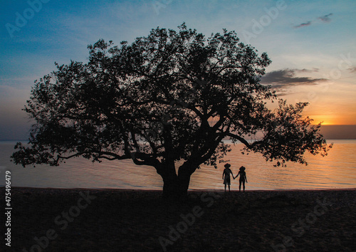 silhueta de casal ao lado de árvore durante pôr do sol no rio tapajós na praia de Pindobal, Pará photo