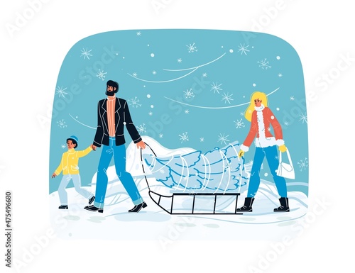 Father and child carrying fir tree on sled, mother walking behind. Happy family on winter scene. Christmas eve shopping, prepare to new year celebration