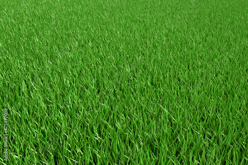 Green grass as a texture for the background. 3d render.