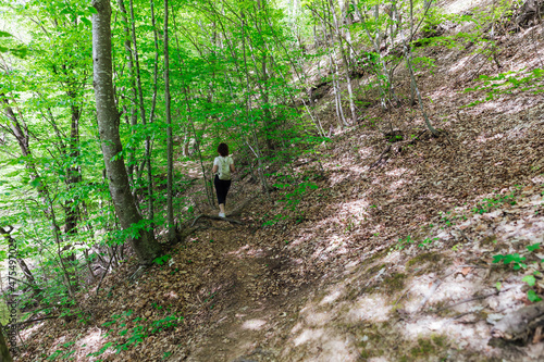 beautiful landscape in a green forest in the mountains