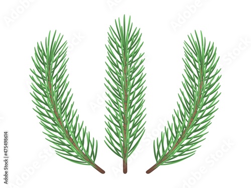 Green spruce branches template. Winter holiday decoration with coniferous aroma. Christmas and creative interior element with trendy vector year color