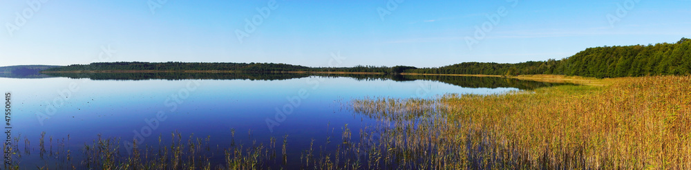Fototapeta premium Priesterbäker See in the Müritz National Park. Mecklenburg Lake Plateau. Mecklenburg Lakeland.